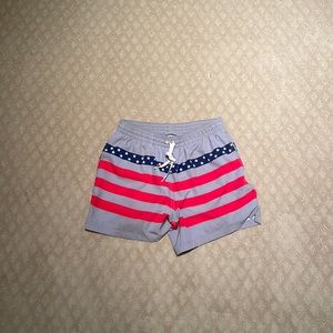 Chubbies USA Swim Trunk (5.5 in Inseam)